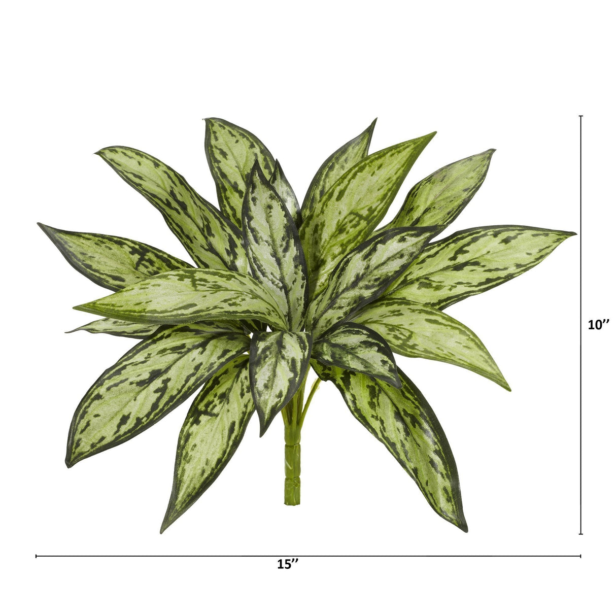 10” Silver Queen Artificial Plant (Set of 6)-Parc Decor