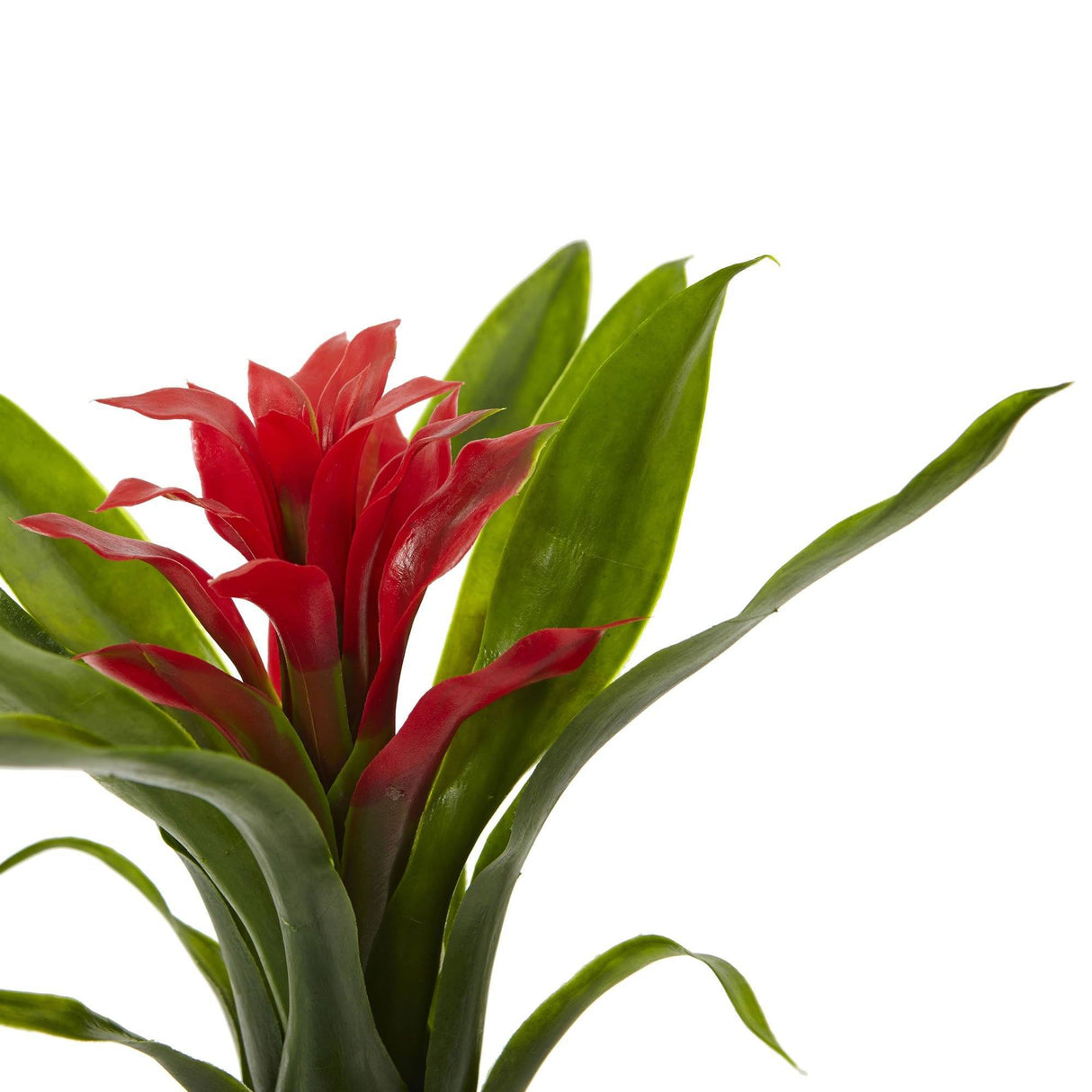 10” Bromeliad Artificial Flower (Set of 6)-Stem-Parc Decor