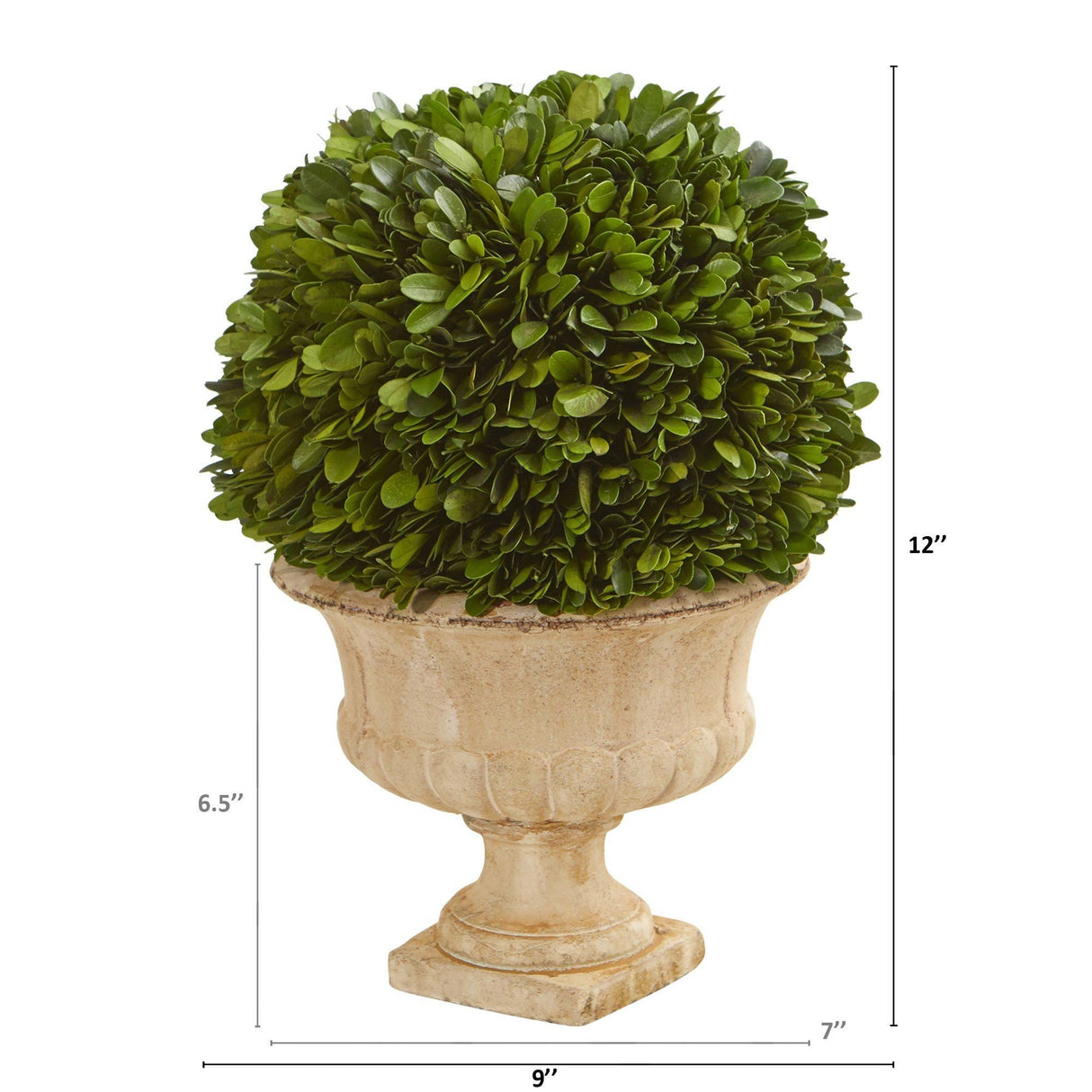 12” Boxwood Topiary Ball Preserved Plant in Decorative Urn-Parc Decor