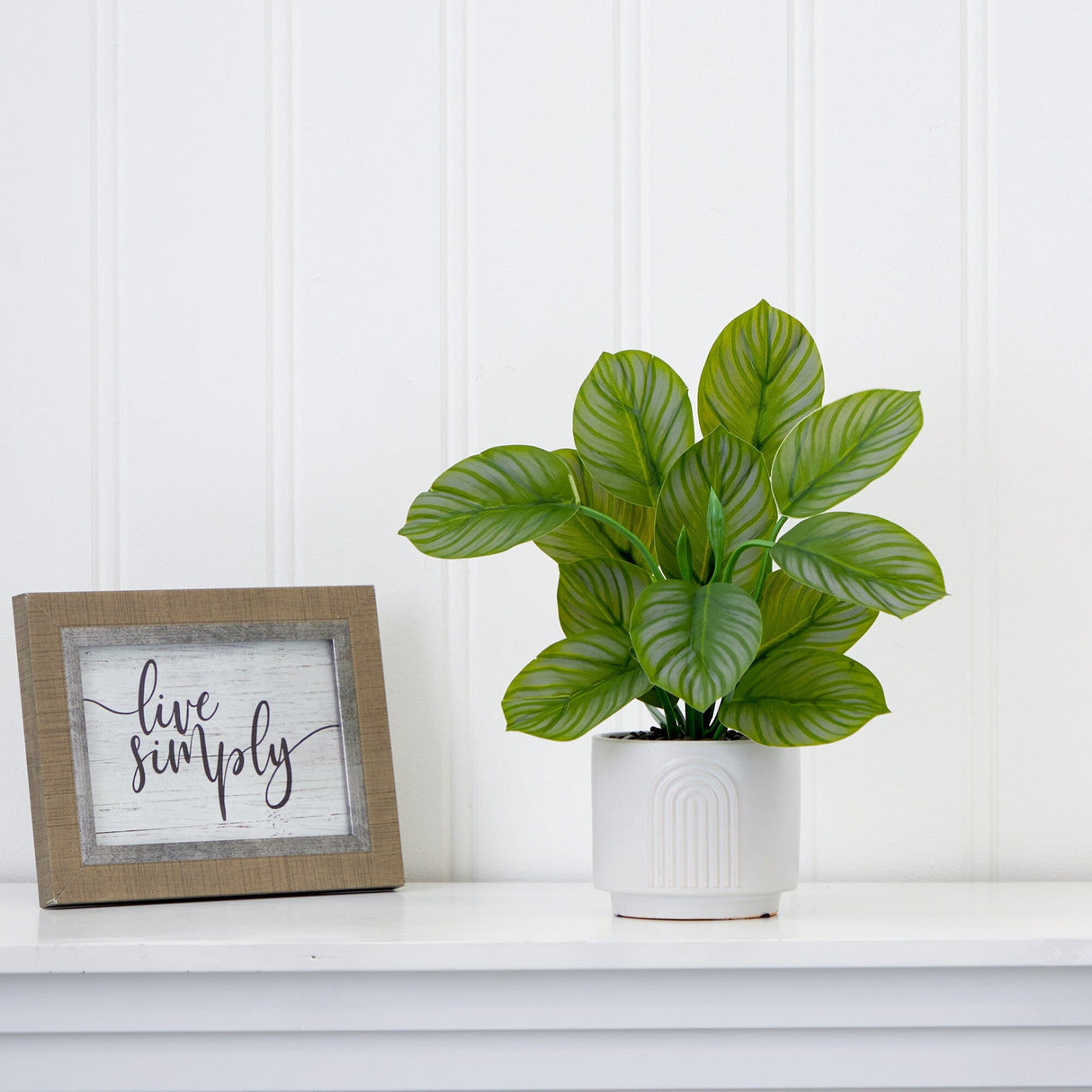 12" Artificial Calathea Plant with Decorative Planter-Plant in Planter-Parc Decor