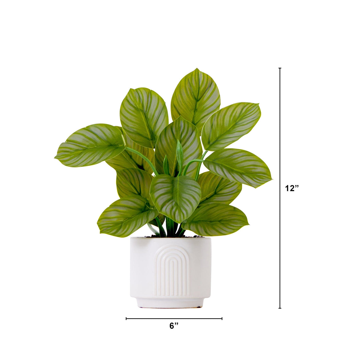12" Artificial Calathea Plant with Decorative Planter-Plant in Planter-Parc Decor