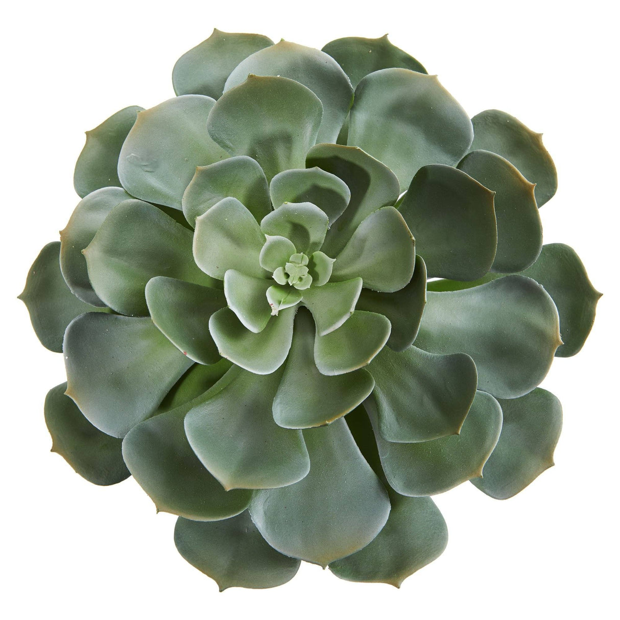 13” Giant Echeveria Succulent Pick Artificial Plant (Set of 2)-Parc Decor
