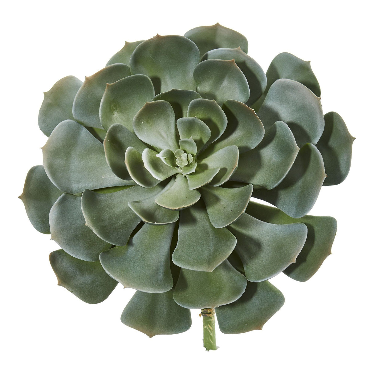 13” Giant Echeveria Succulent Pick Artificial Plant (Set of 2)-Parc Decor