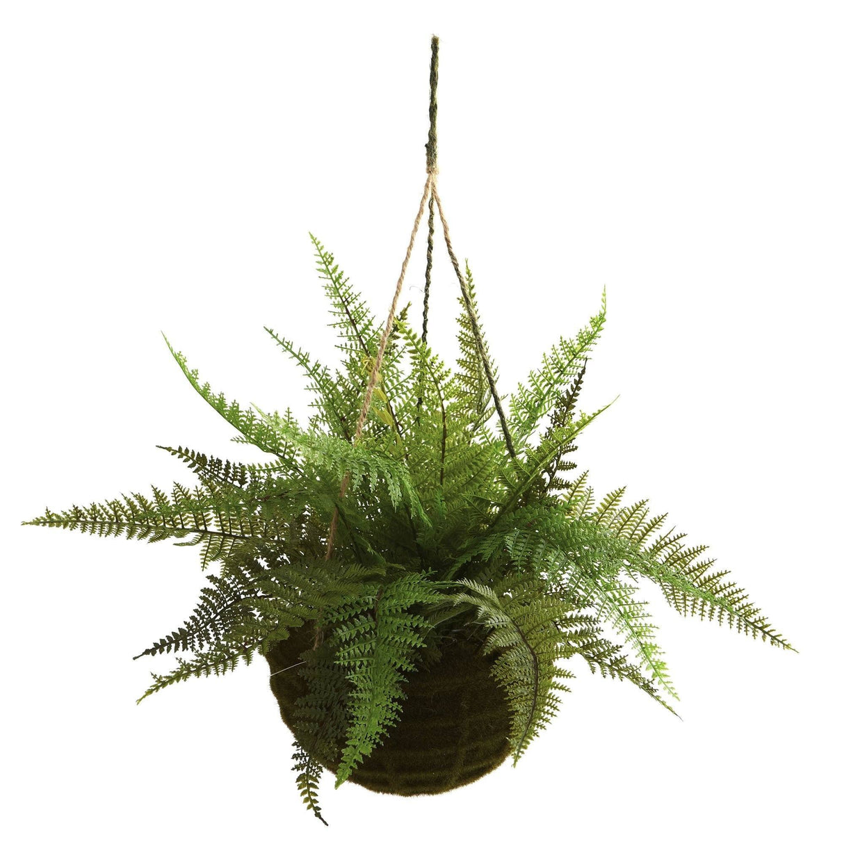 13" Leather Fern Hanging Basket w/ Moss - Set of 2 + (Indoor/Outdoor)-Parc Decor