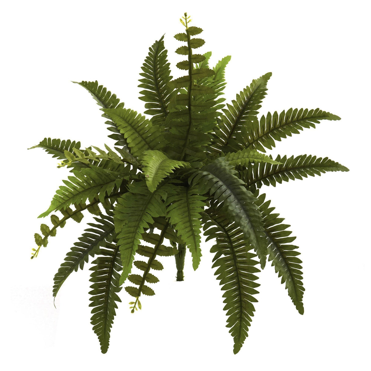 14” Boston Fern Artificial Plant (Set of 6)-Parc Decor