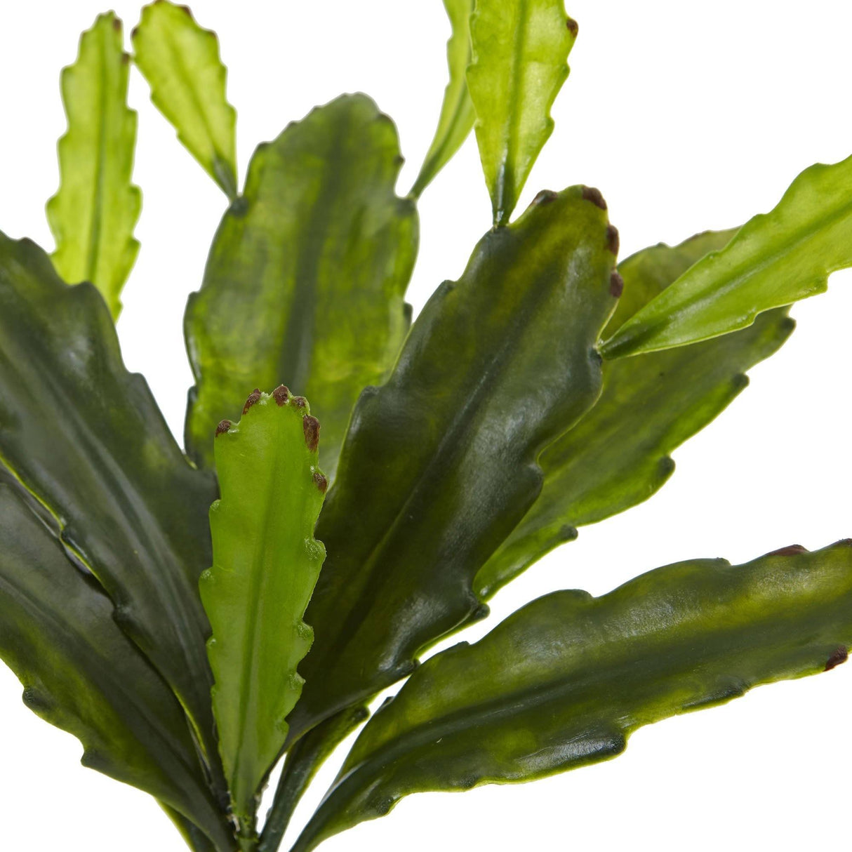 14” Epiphyllum Cactus Artificial Plant (Set of 4)-Parc Decor