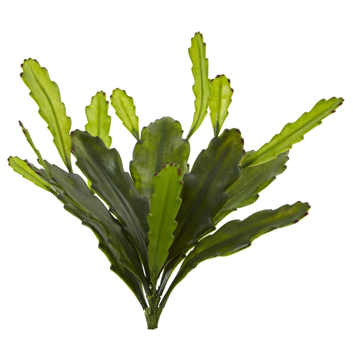 14” Epiphyllum Cactus Artificial Plant (Set of 4)-Parc Decor