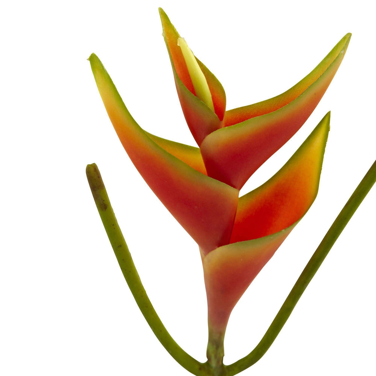 14’’ Mini Heliconia Artificial Flower (Set of 6)-Parc Decor