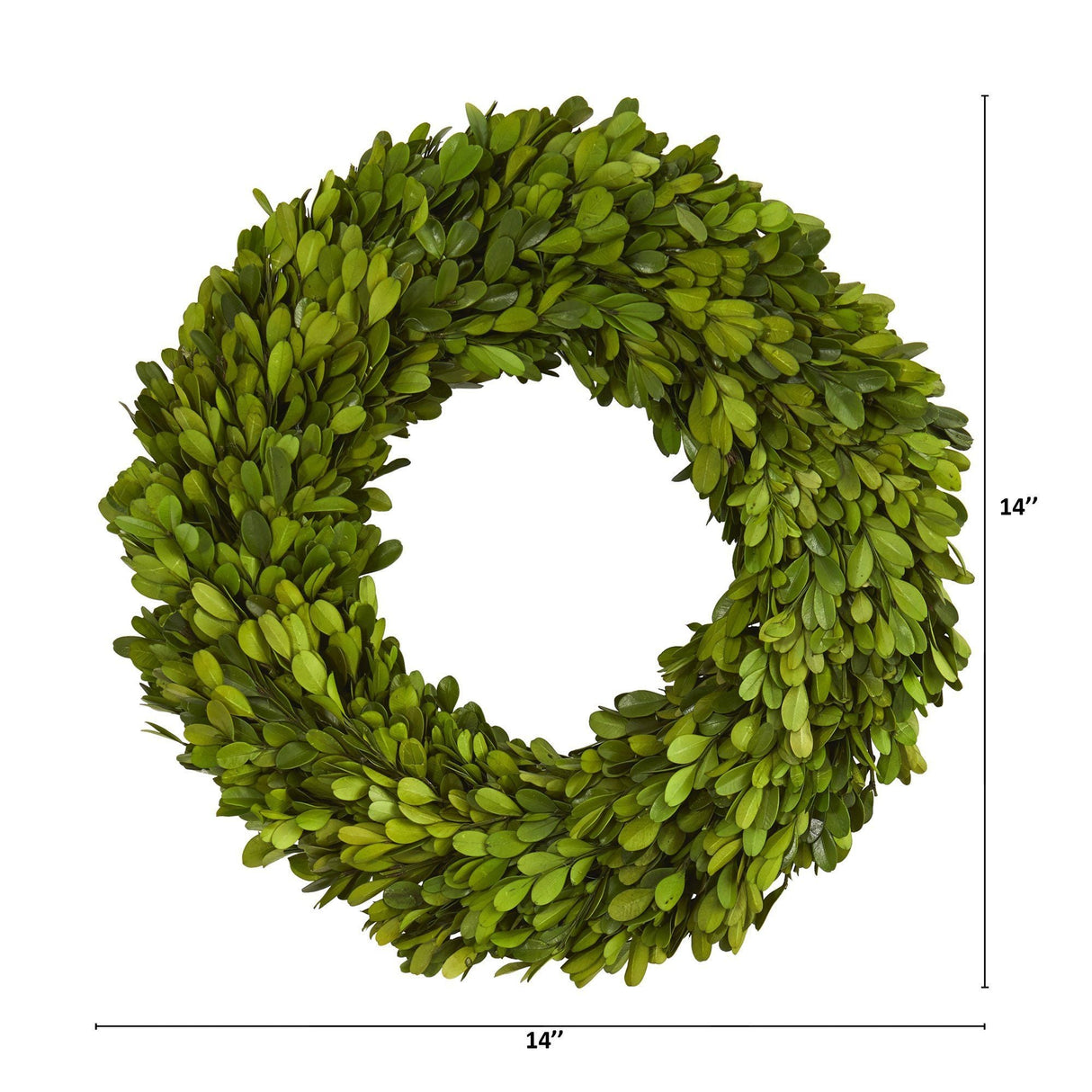 14” Preserved Boxwood Wreath-Parc Decor