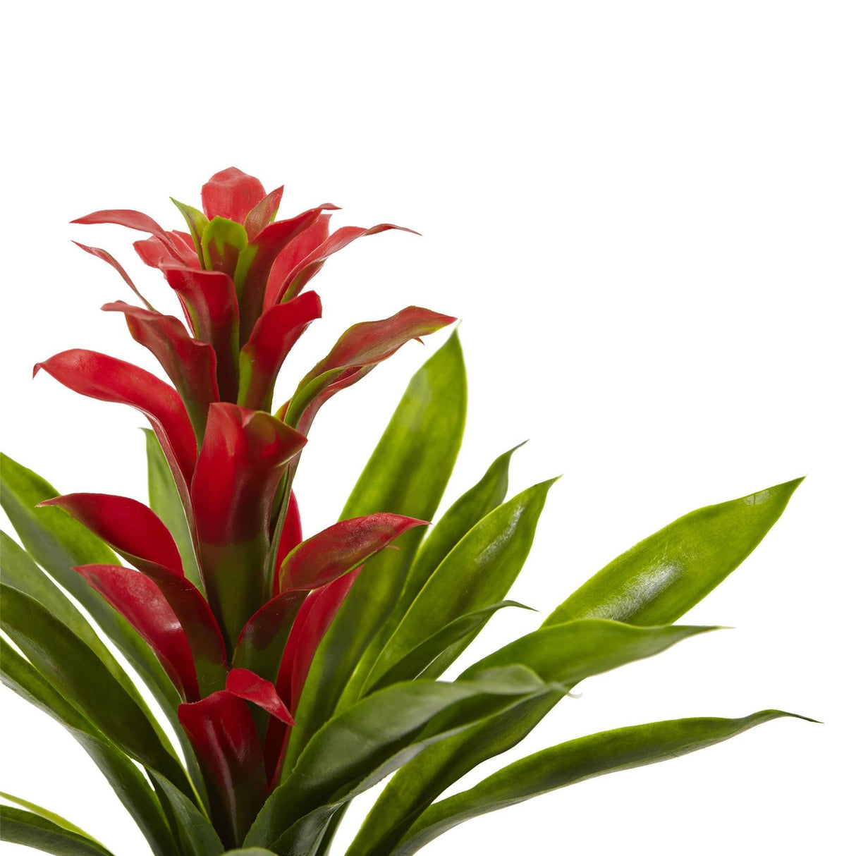 15” Artificial Bromeliad Flower (Set of 4)-Stem-Parc Decor