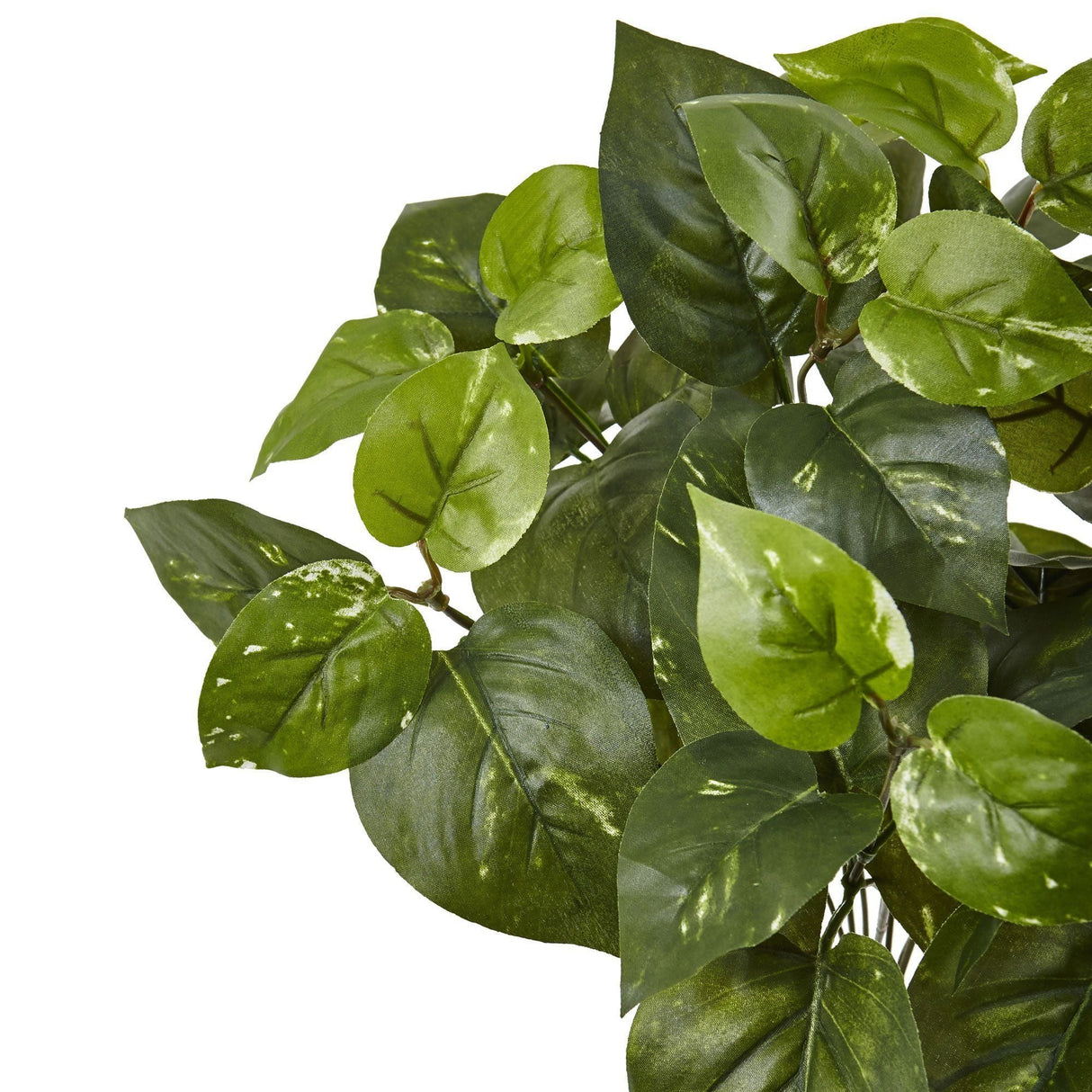 16” Pothos Artificial Plant (Set of 6)-Parc Decor