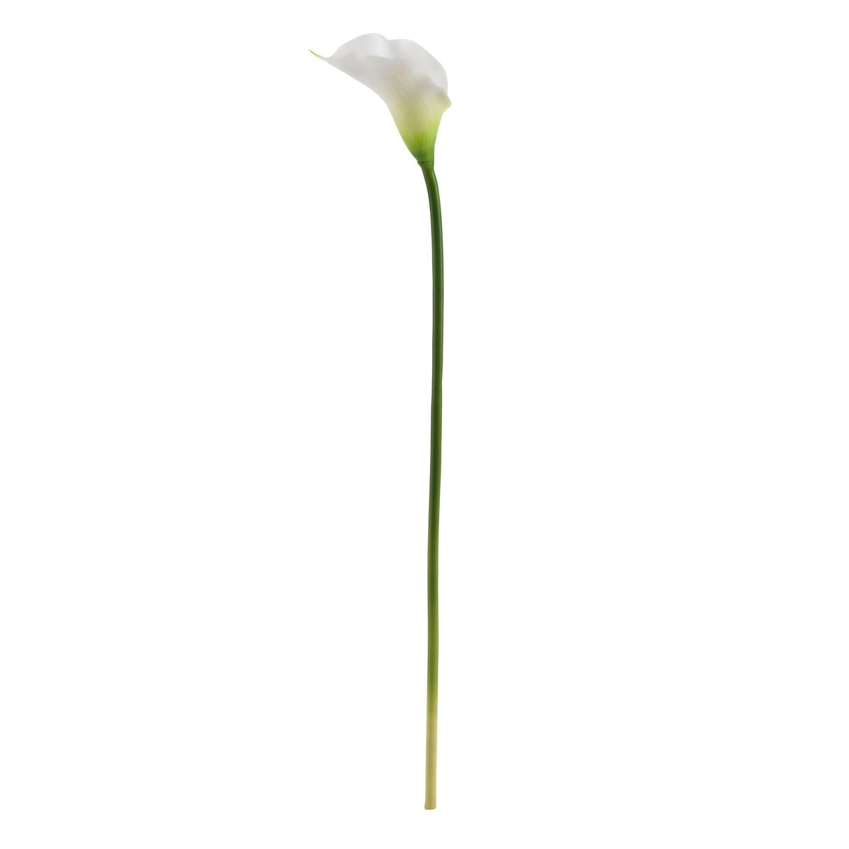 19.5” Calla Lily Artificial Flower (Set of 12)-Parc Decor