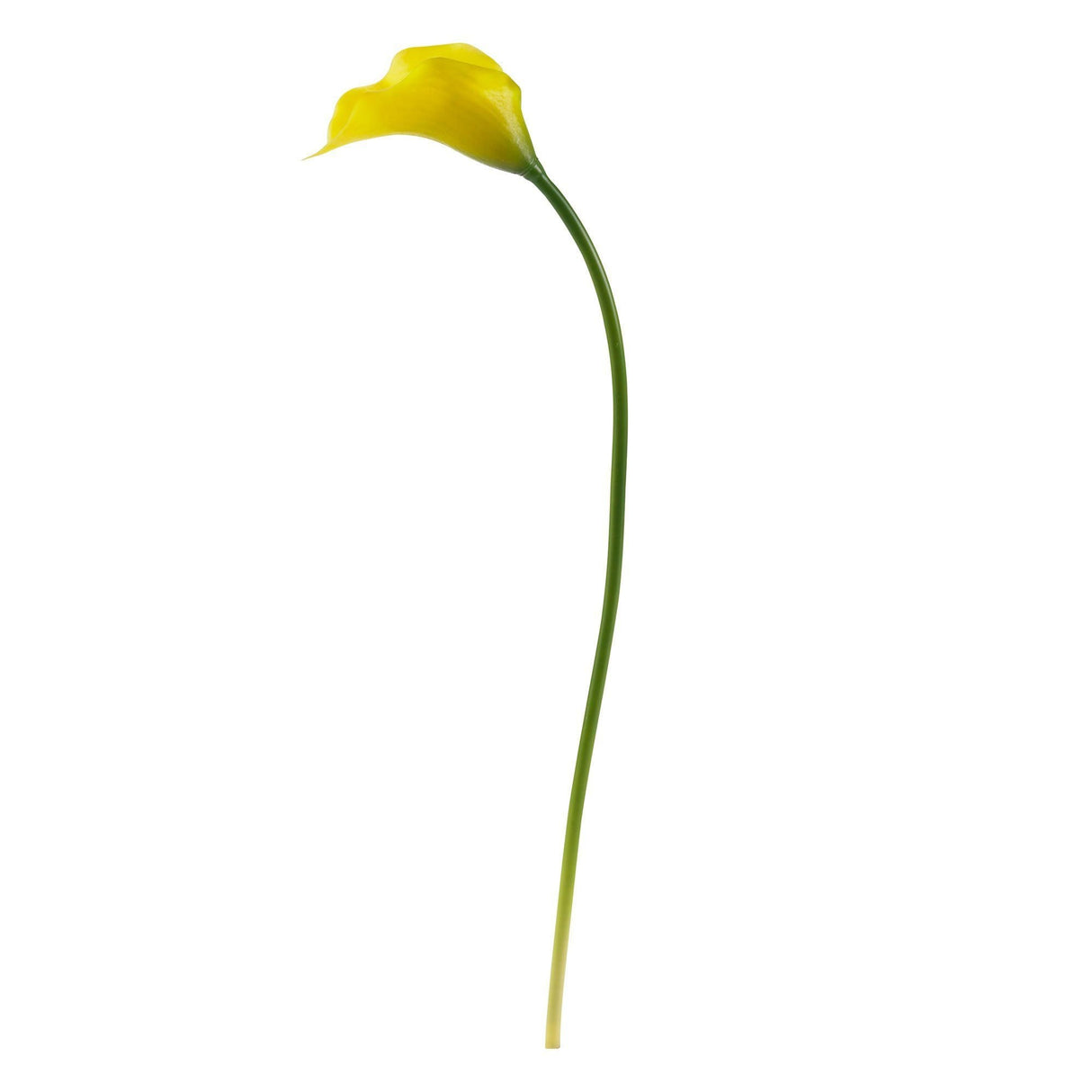 19.5” Calla Lily Artificial Flower (Set of 12)-Parc Decor