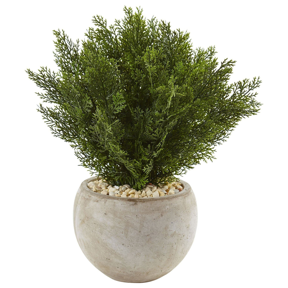 2’ Cedar in Sand Colored Bowl-Parc Decor