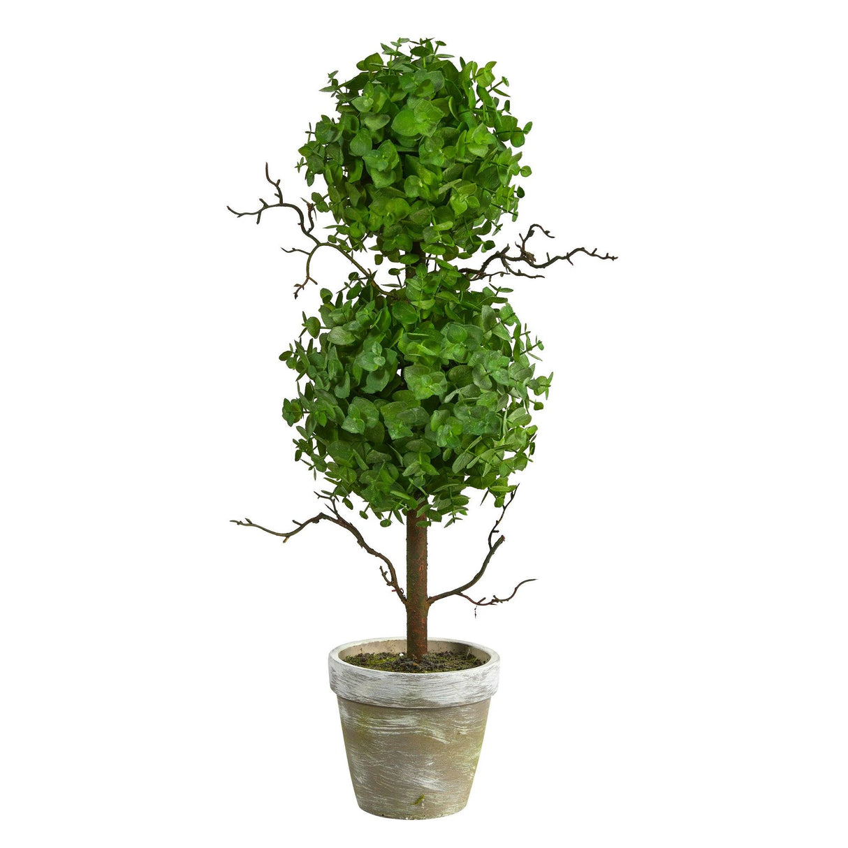 2’ Eucalyptus Double Ball Topiary Artificial Tree-Parc Decor