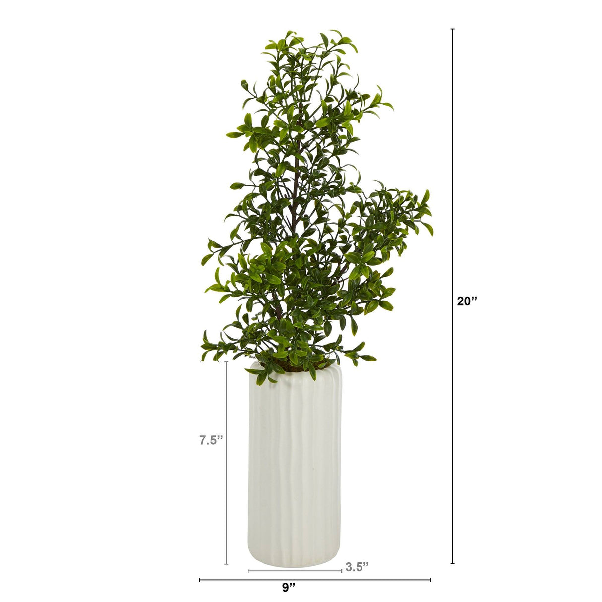 20” Boxwood Artificial Plant in White Planter-Parc Decor