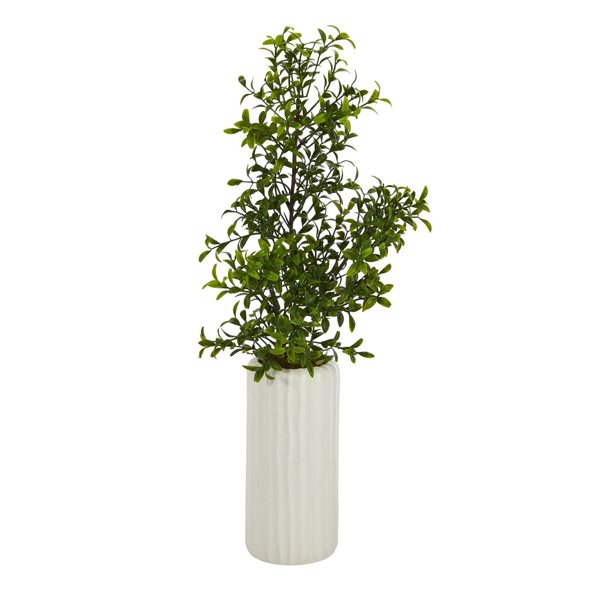 20” Boxwood Artificial Plant in White Planter-Parc Decor