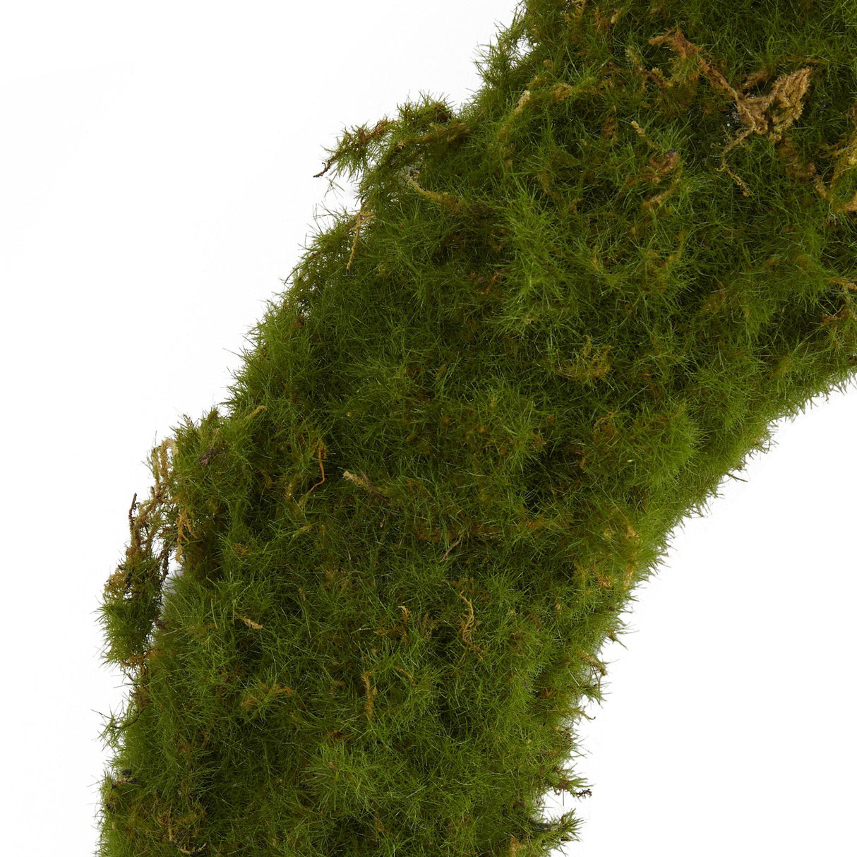 20” Moss Artificial Wreath-Parc Decor