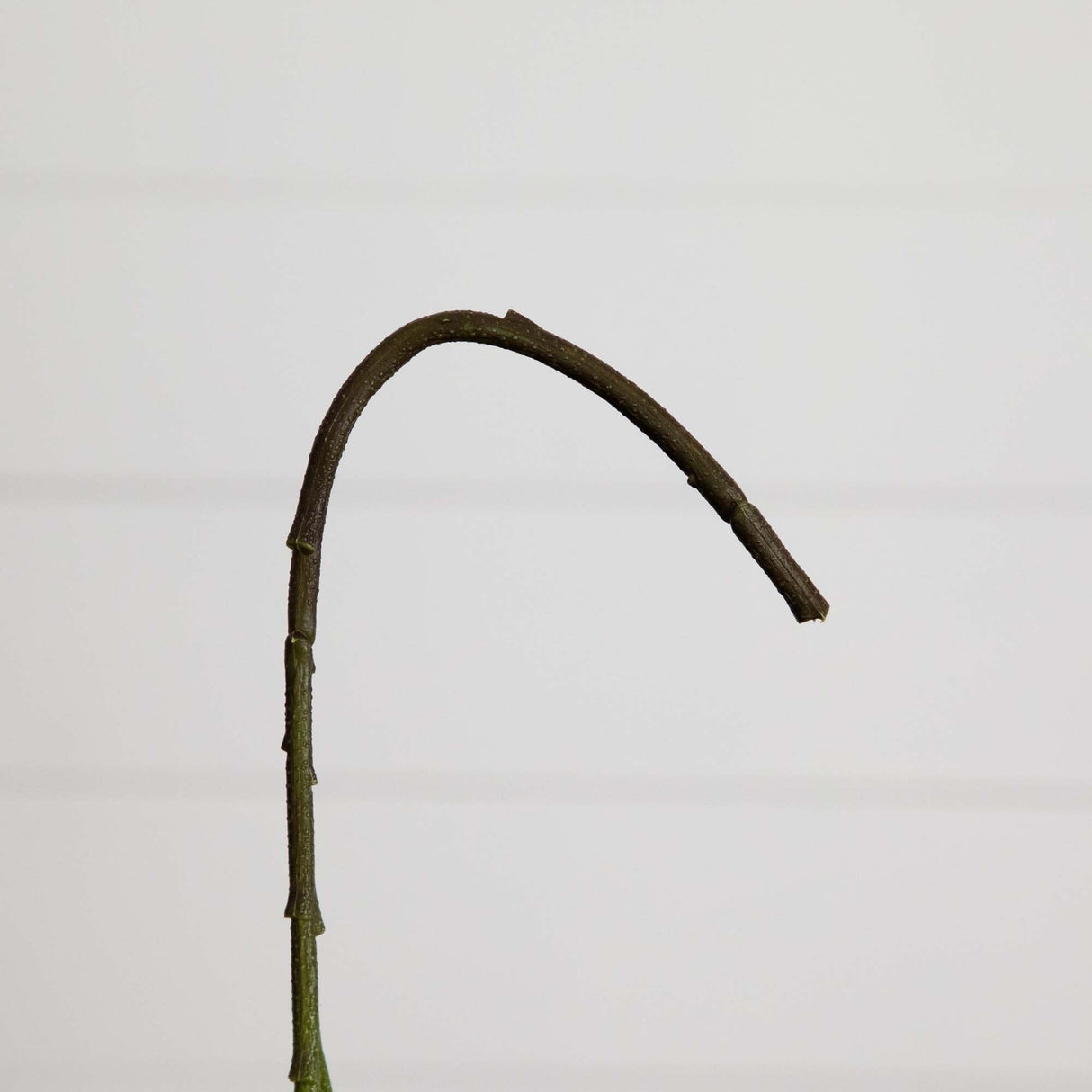 20" Artificial Hydrangea Flower Stems- Set of 3-Stem-Parc Decor