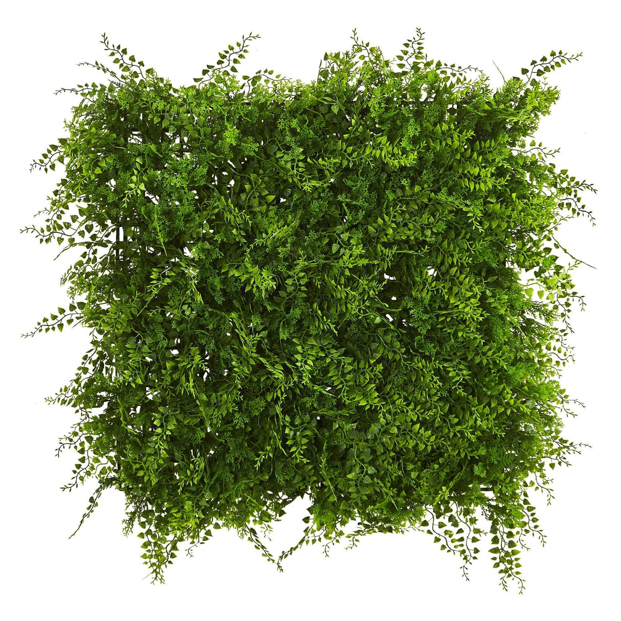 20” x 20” Lush Mediterranean Artificial Fern Wall Panel UV Resistant (Indoor/Outdoor) Trellis-Parc Decor