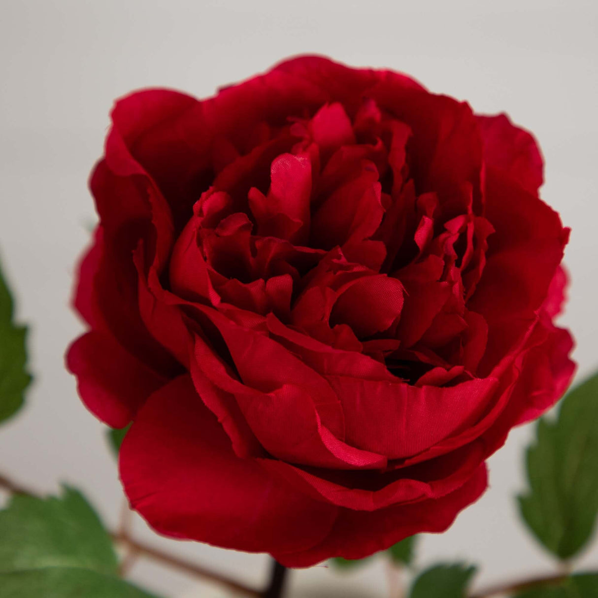 20"Artificial Peony Flower Stems - Set of 3-Stem-Parc Decor