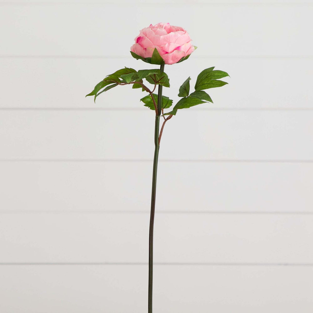 20"Artificial Peony Flower Stems - Set of 3-Stem-Parc Decor