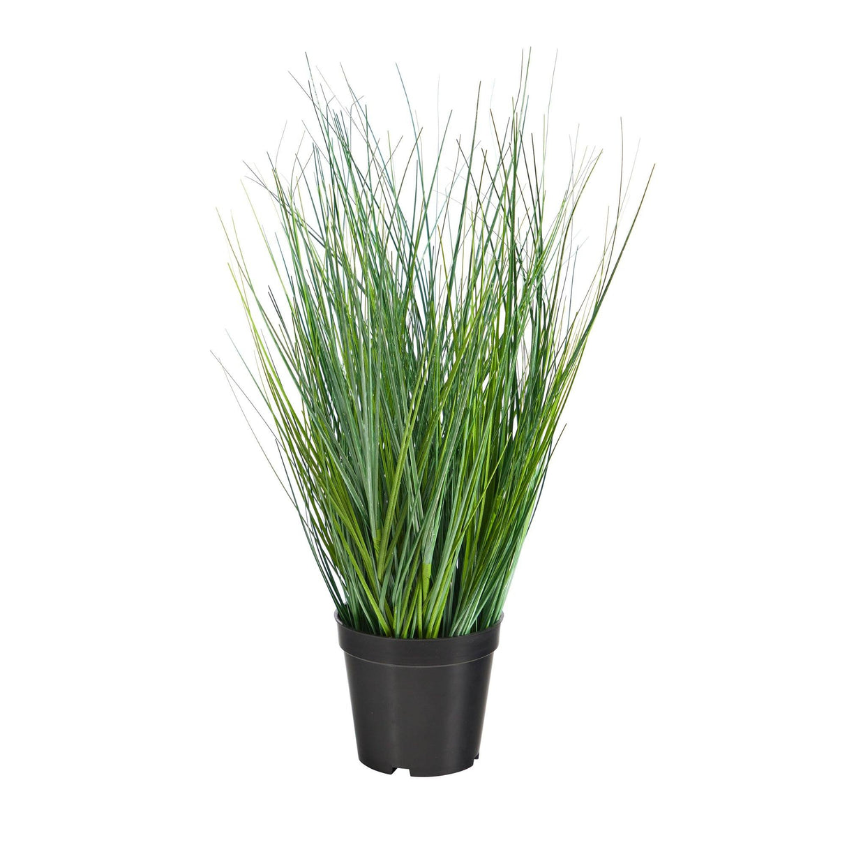 21” Onion Grass Artificial Plant-Parc Decor