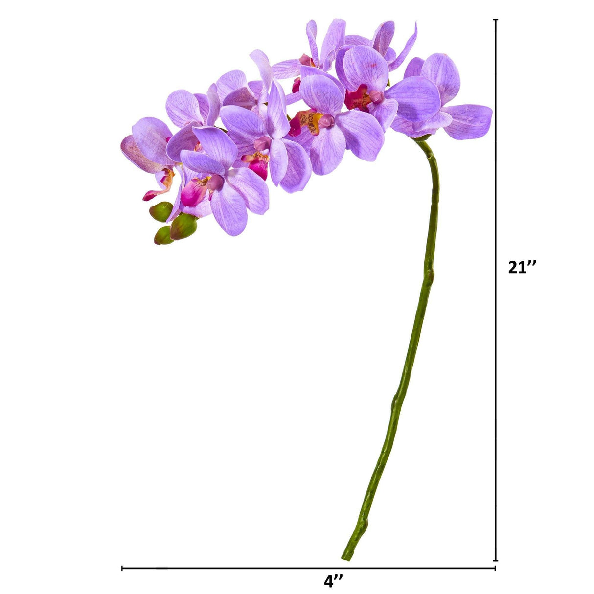 21” Artificial Phalaenopsis Orchid Flower (Set of 6)-Stem-Parc Decor