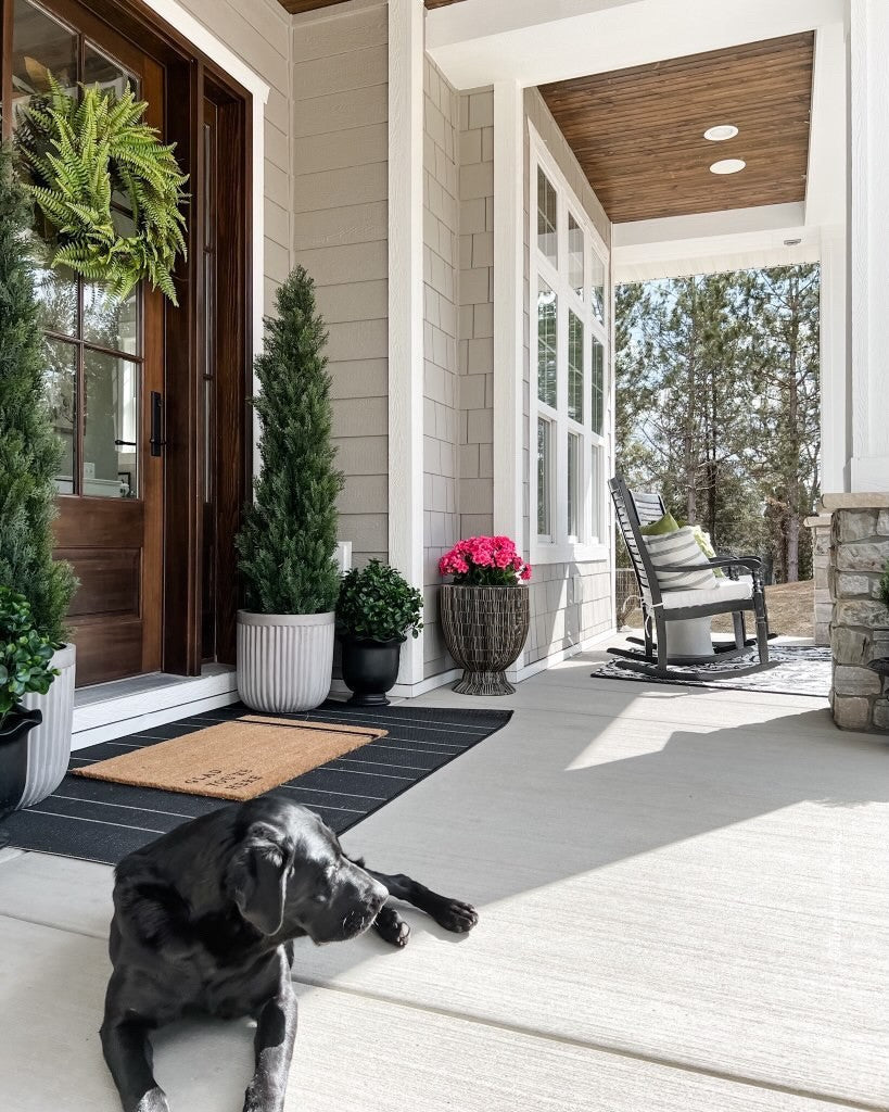 23” Peperomia Plant UV Resistant (Indoor/Outdoor)-Parc Decor