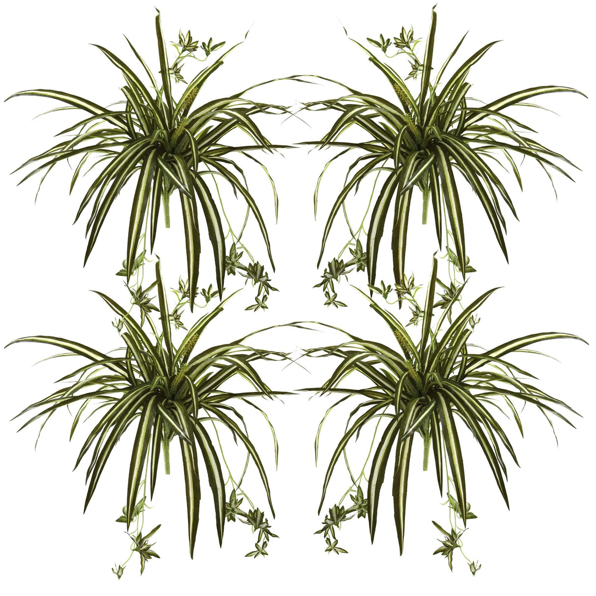 23” Spider Plant Bush (Set of 4)-Parc Decor