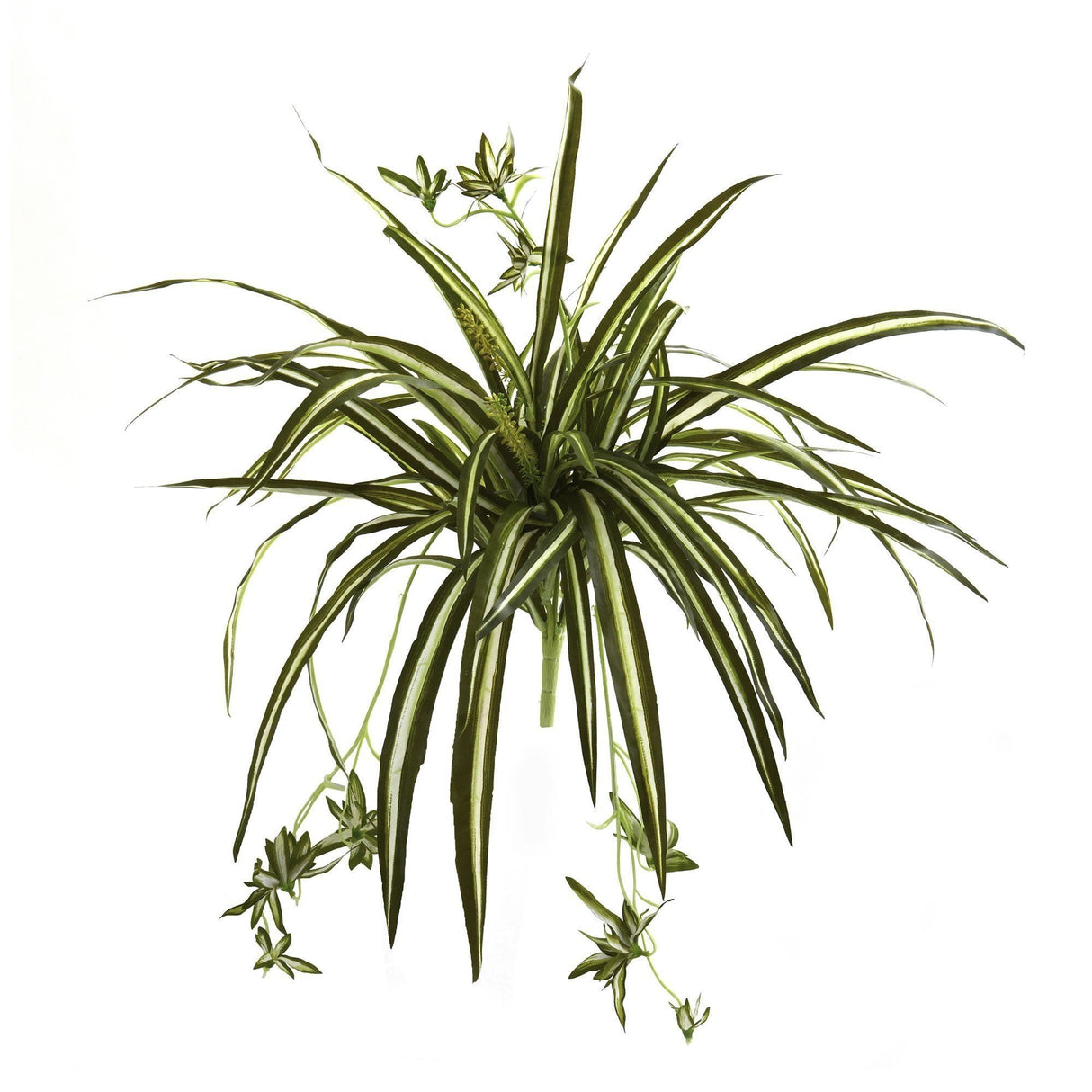 23” Spider Plant Bush (Set of 4)-Parc Decor
