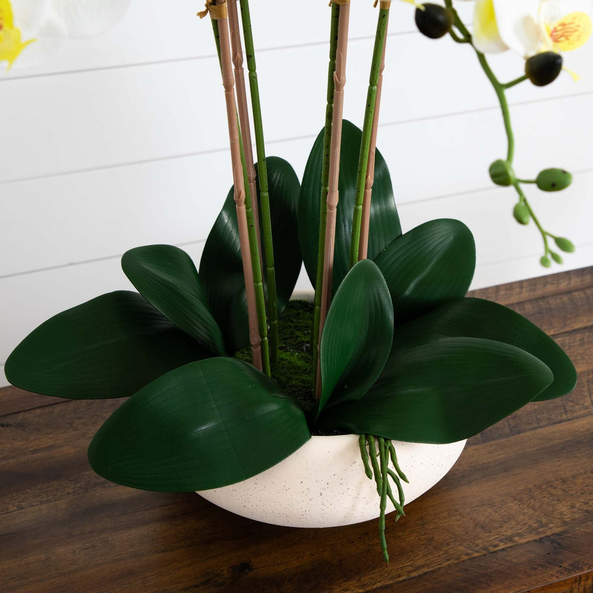 23” Artificial Phalaenopsis Orchid Arrangement in White Ceramic Planter (Real Touch)-Arrangement-Parc Decor