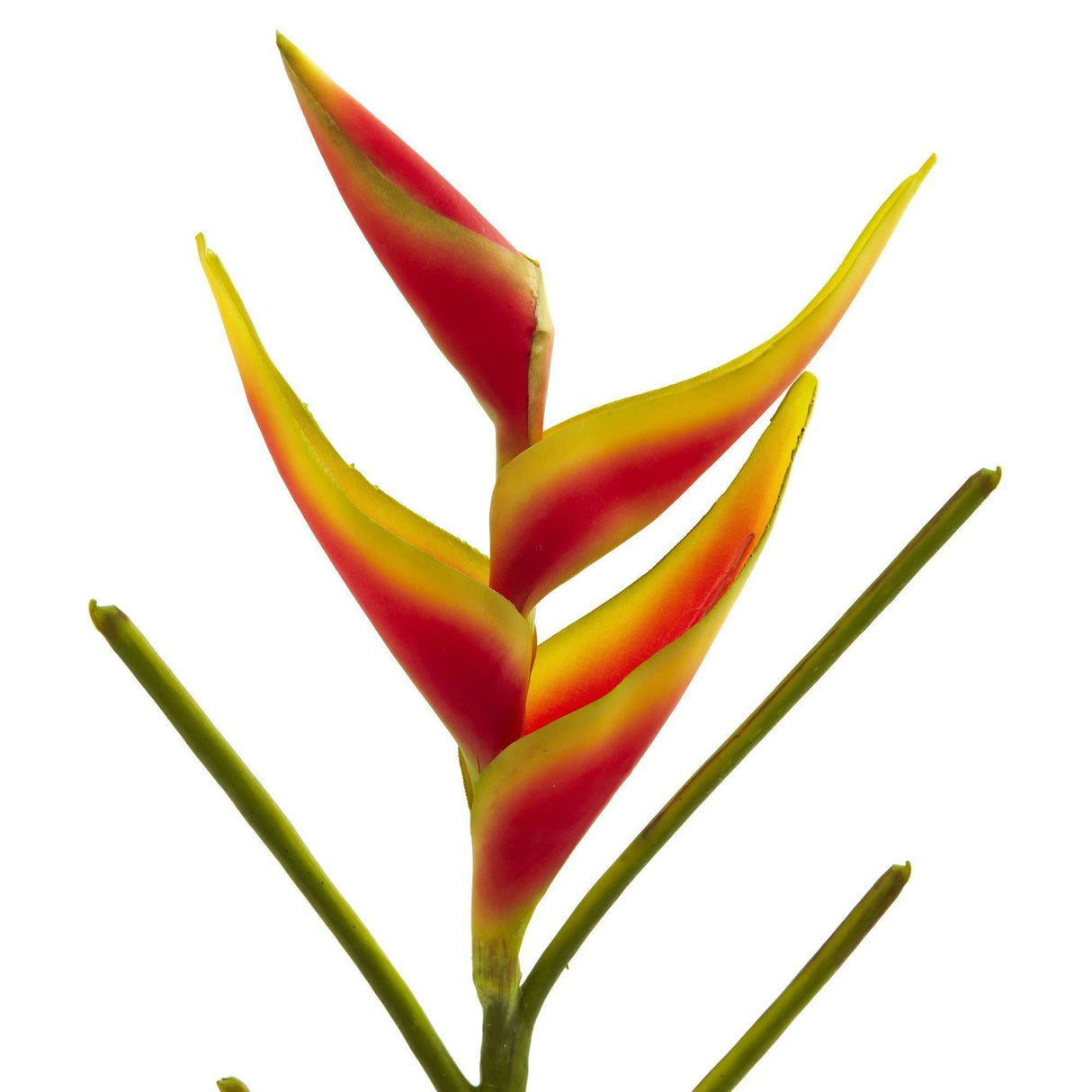 26’’ Heliconia Artificial Flower (Set of 4)-Stem-Parc Decor