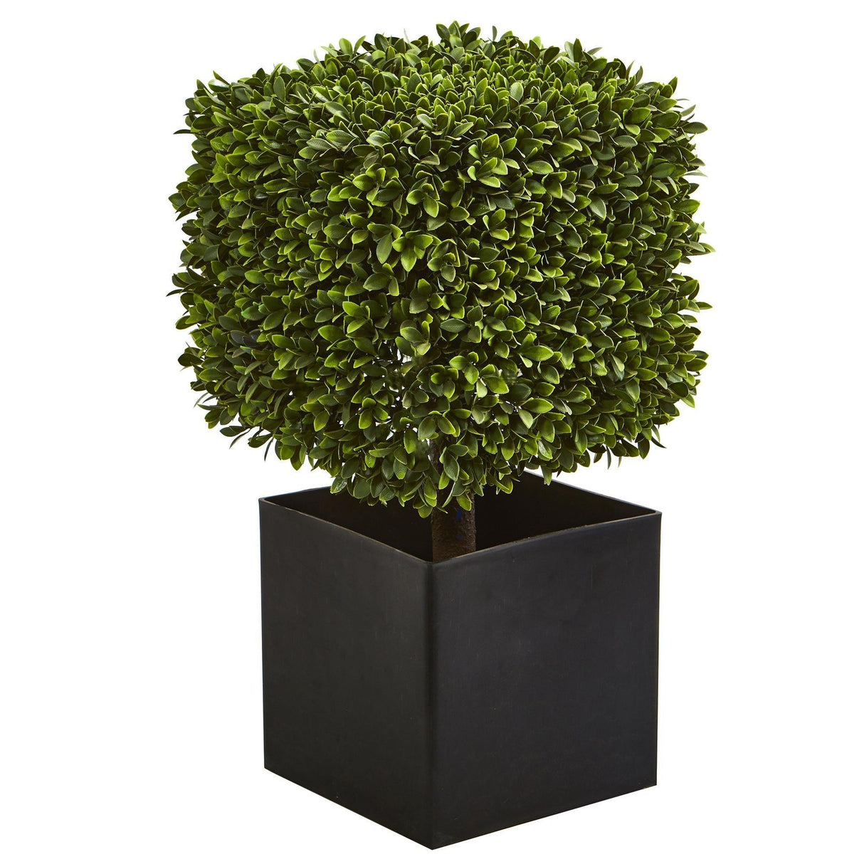 27” Boxwood Artificial Plant in Black Planter (indoor/Outdoor)-Parc Decor