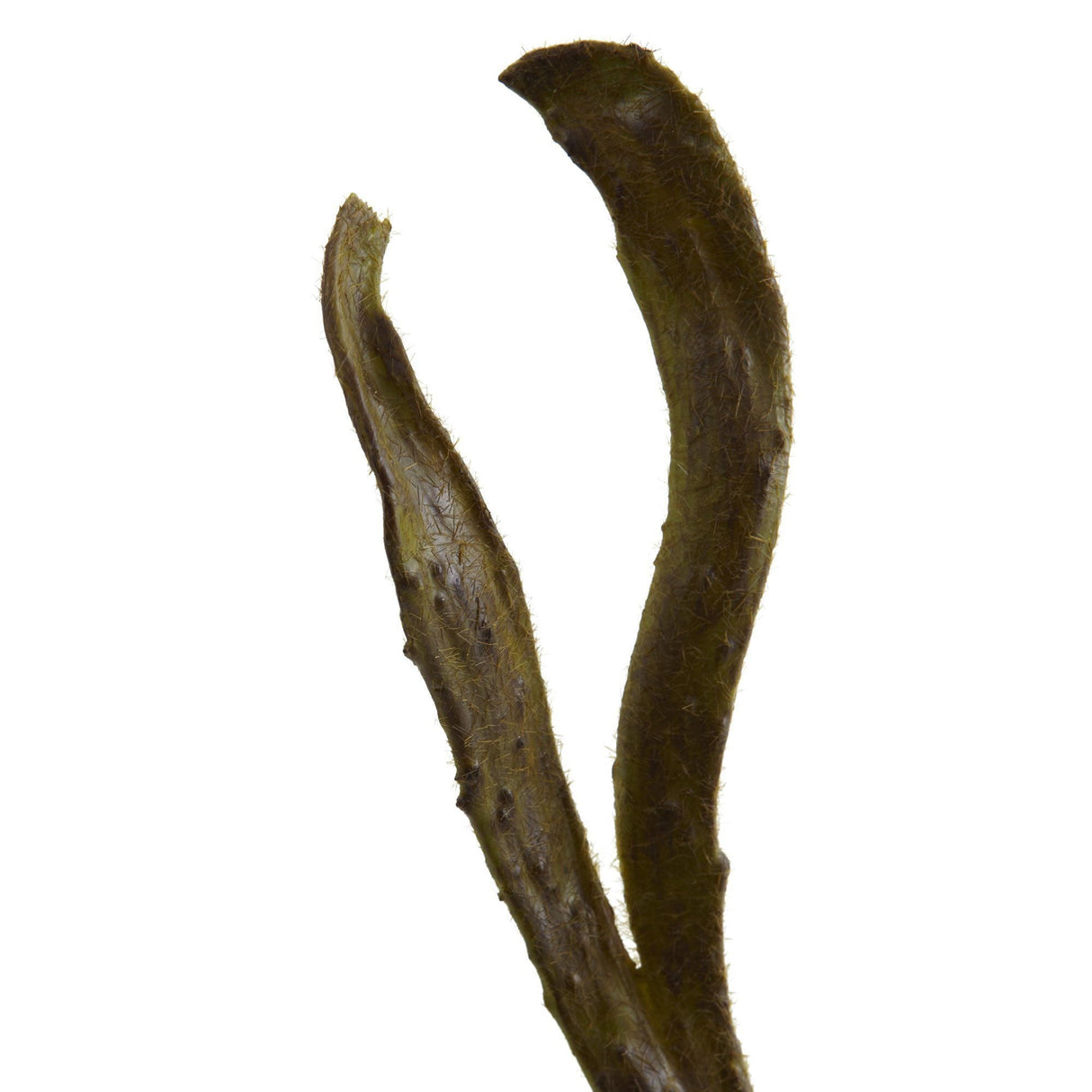 28’’ Artificial Branch (Set of 12)-Parc Decor