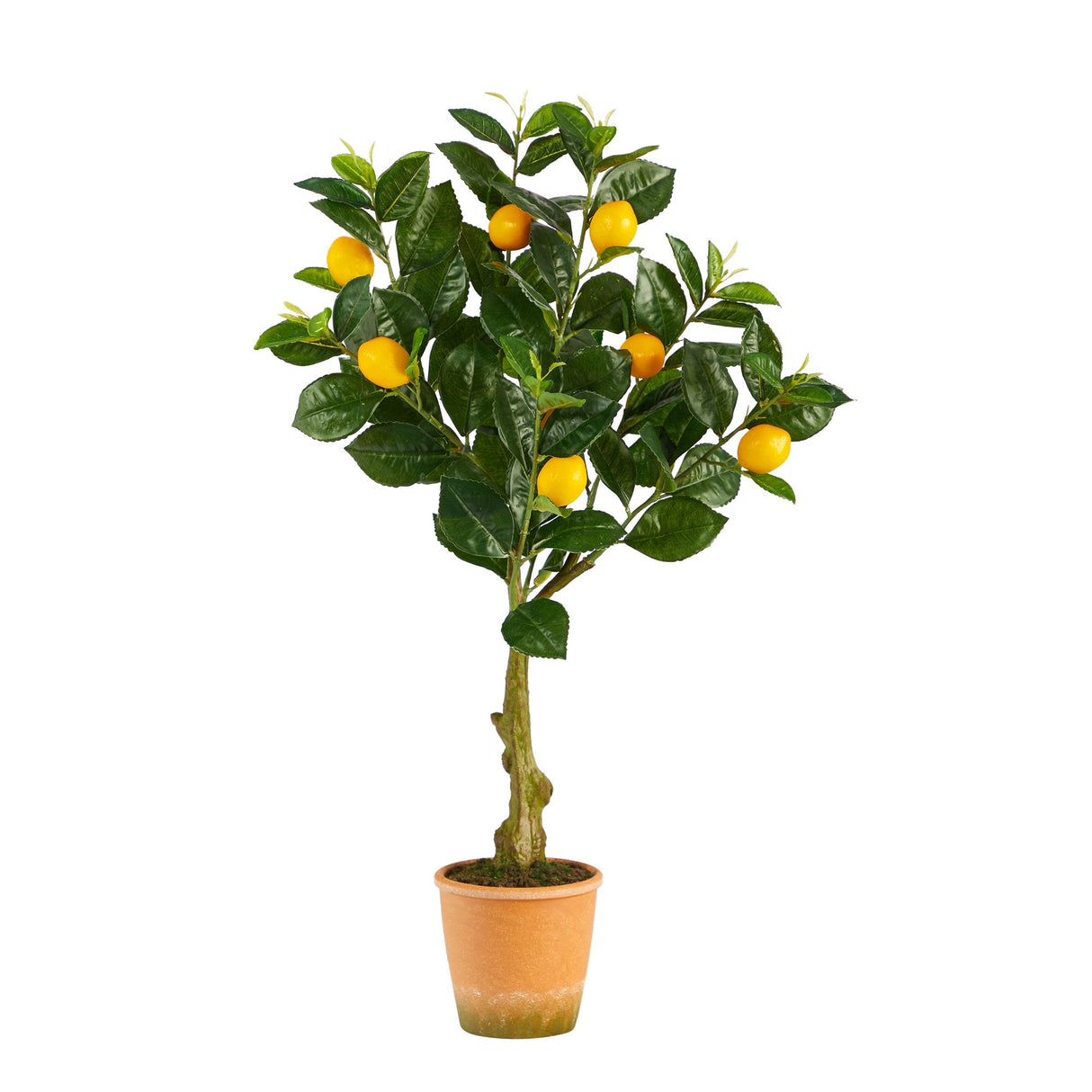 28” Lemon Artificial Tree in Decorative Planter-Parc Decor