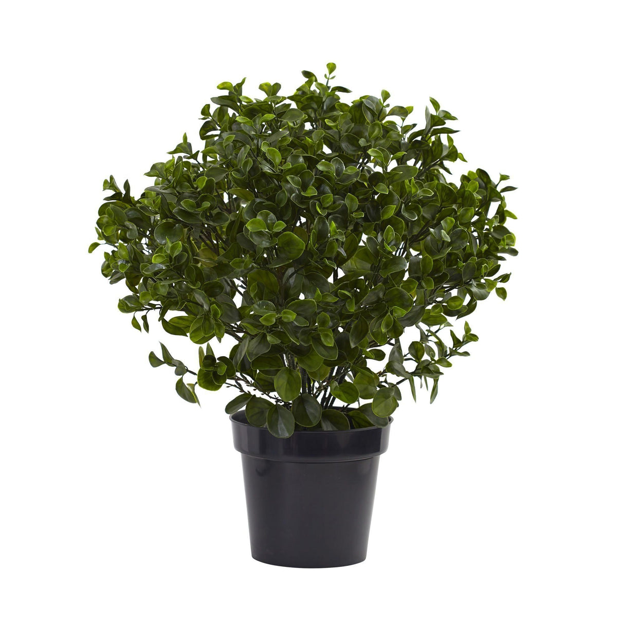 28” Peperomia Plant UV Resistant (Indoor/Outdoor)-Parc Decor