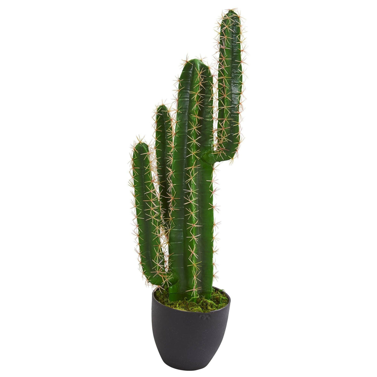 2.5’ Artificial Blue Myrtle Cactus Plant-Parc Decor
