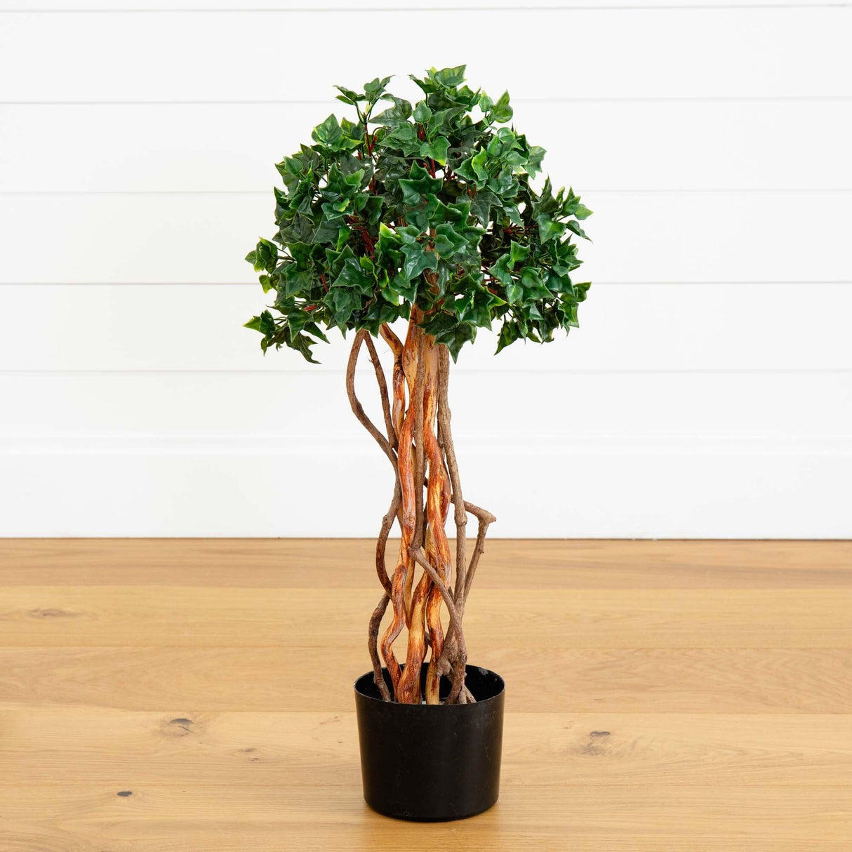 2.5’ English Ivy Topiary UV Resistant (Indoor/Outdoor)-Parc Decor