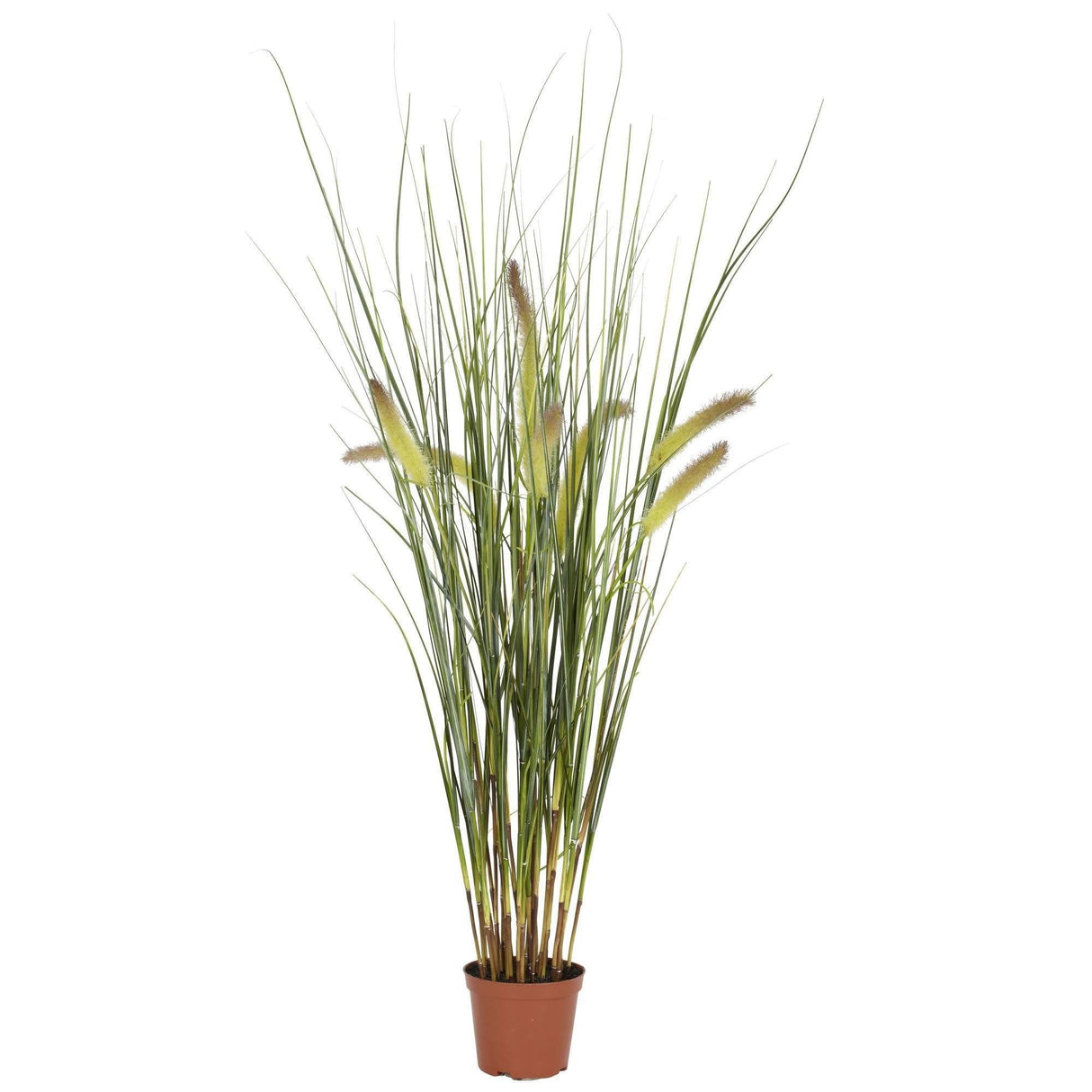 2.5' Grass Plant-Parc Decor