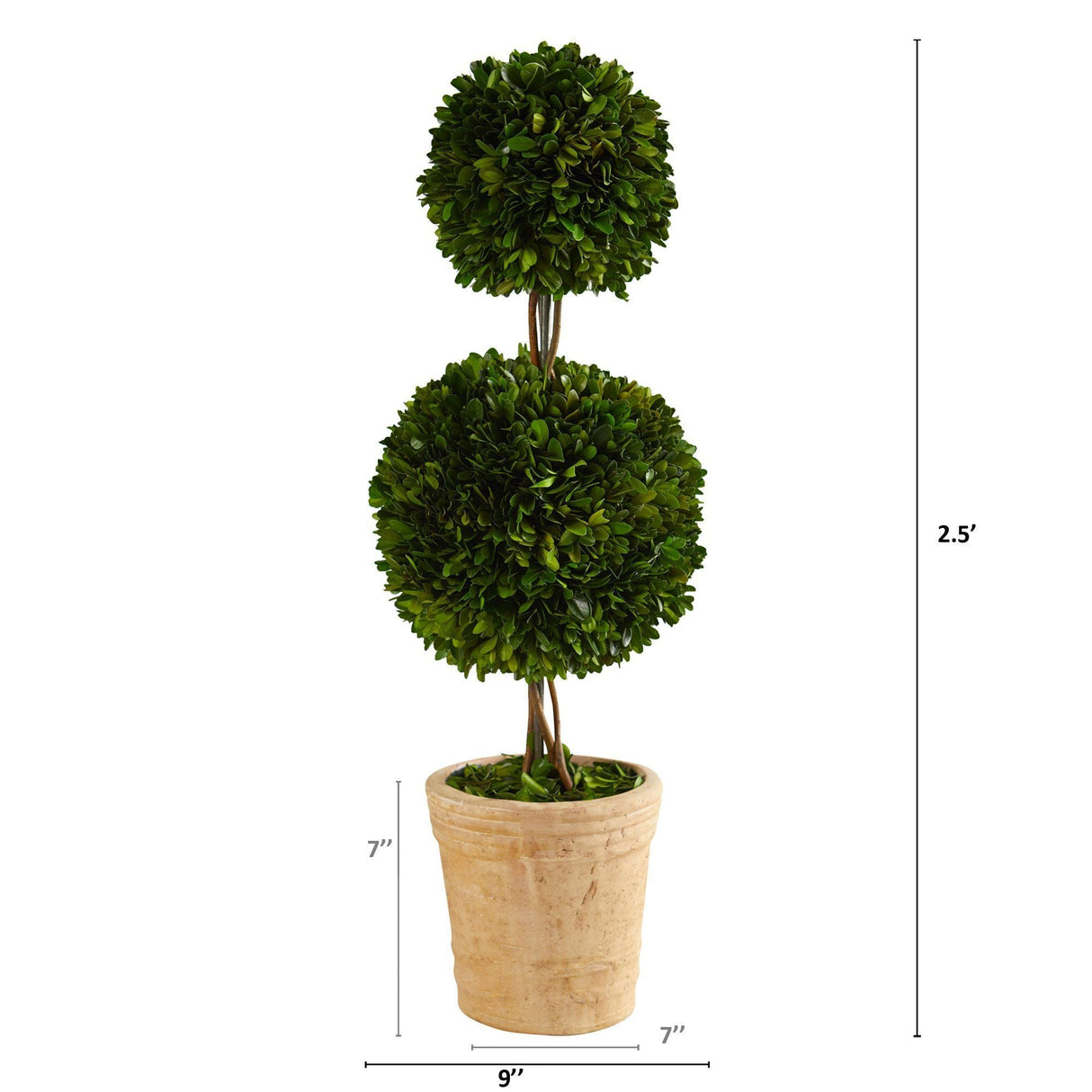 2.5’ Preserved Boxwood Double Ball Topiary Tree in Decorative Planter-Parc Decor