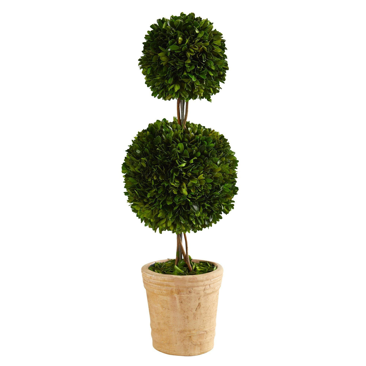 2.5’ Preserved Boxwood Double Ball Topiary Tree in Decorative Planter-Parc Decor