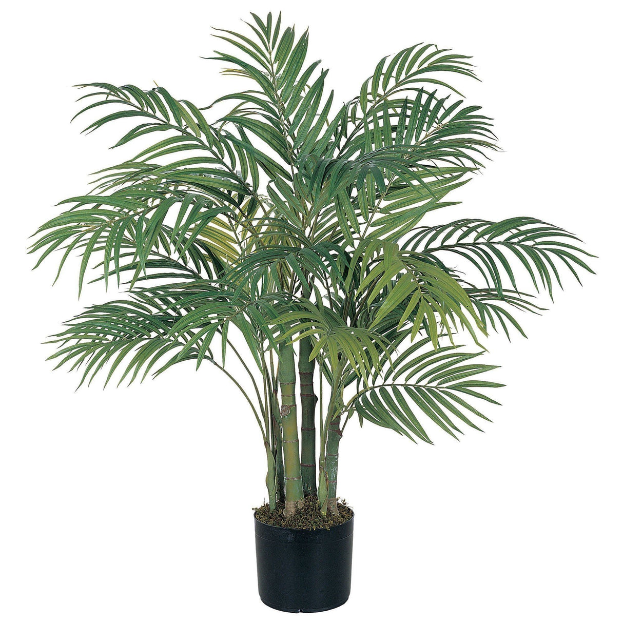 3' Areca Silk Palm Tree-Parc Decor