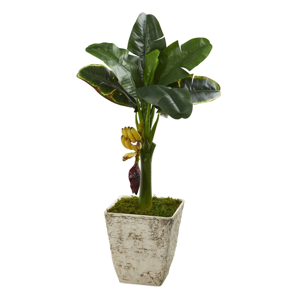 3’ Banana Artificial Tree in Country White Planter-Parc Decor