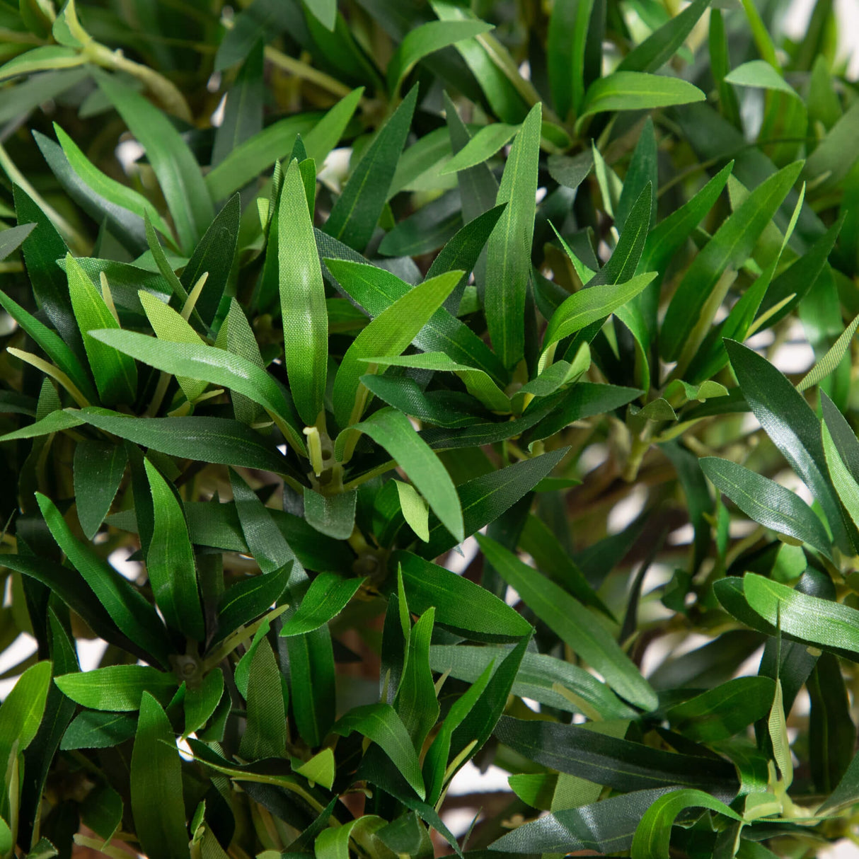 3’ Bonsai Styled Podocarpus Artificial Tree-Parc Decor