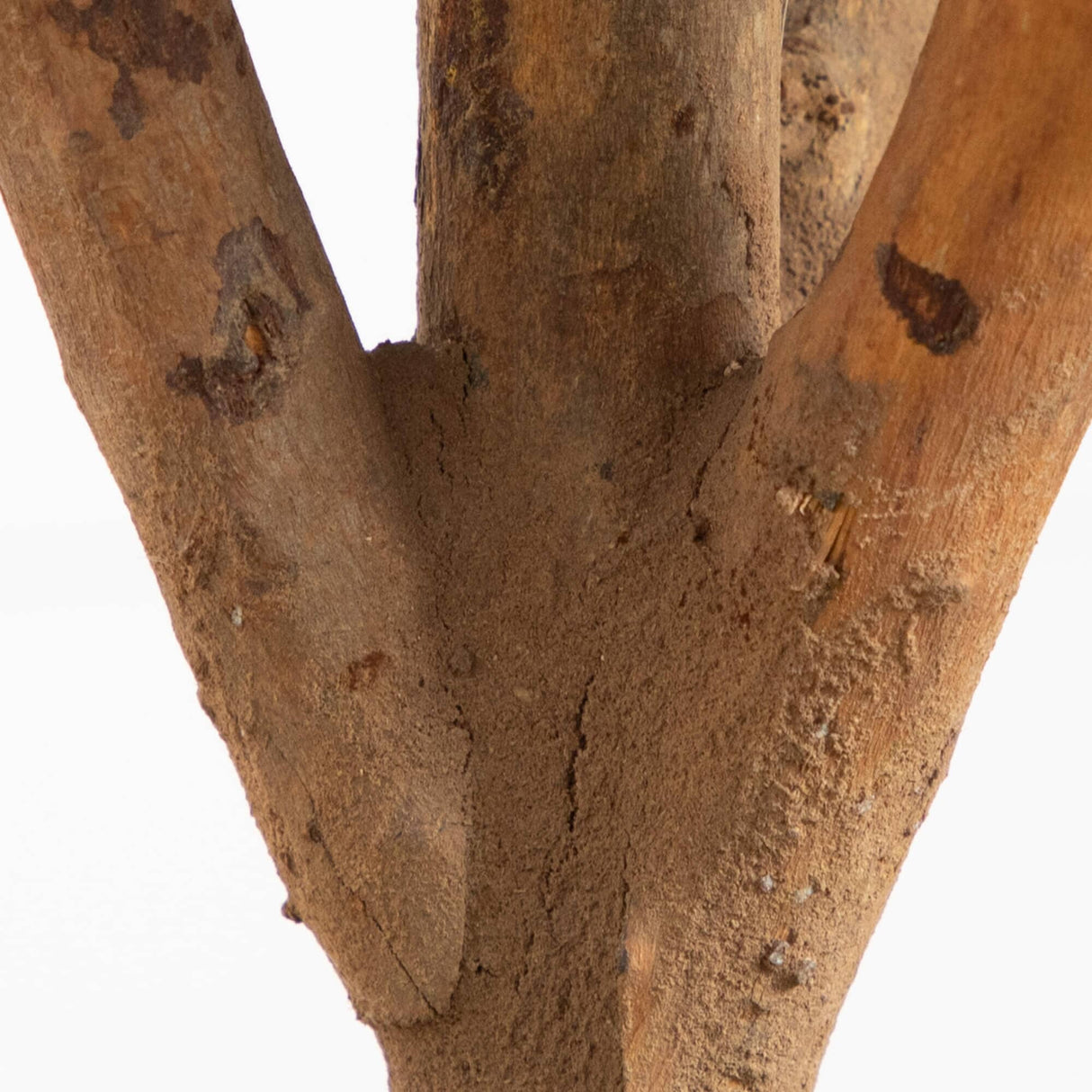 3’ Bonsai Styled Podocarpus Artificial Tree-Parc Decor