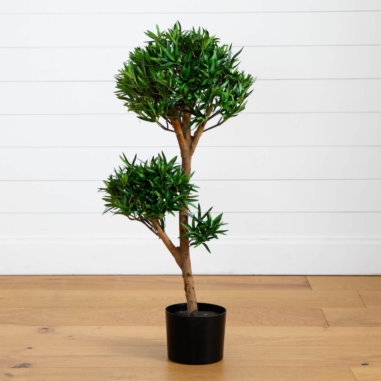 3’ Bonsai Styled Podocarpus Artificial Tree-Parc Decor