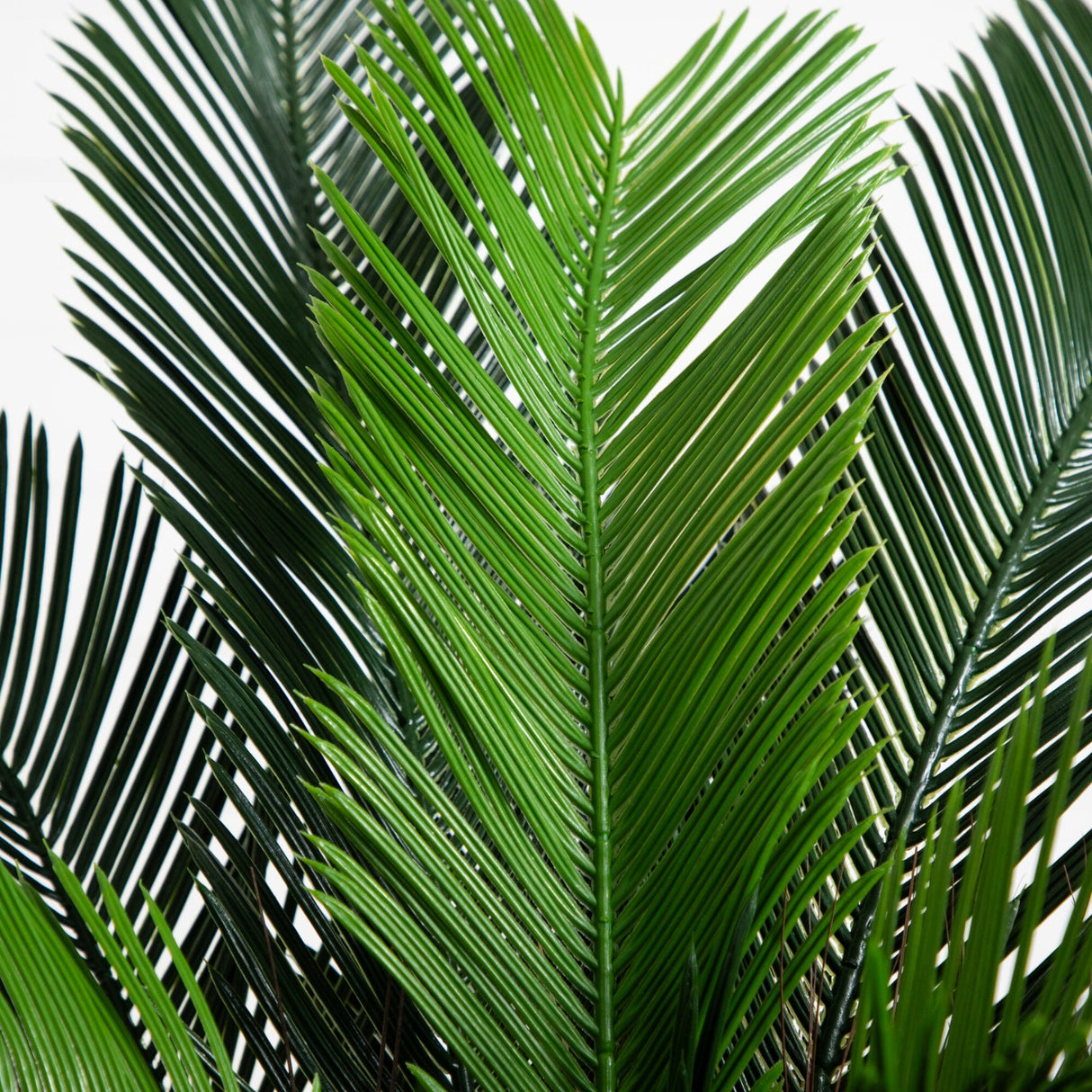 3’ Cycas Palm Tree UV Resistant (Indoor/Outdoor)-Parc Decor