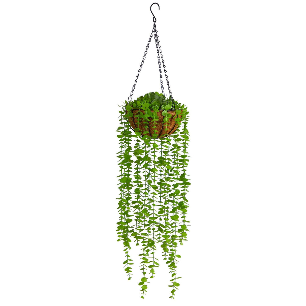 3’ Eucalyptus Artificial Plant in Hanging Basket-Parc Decor