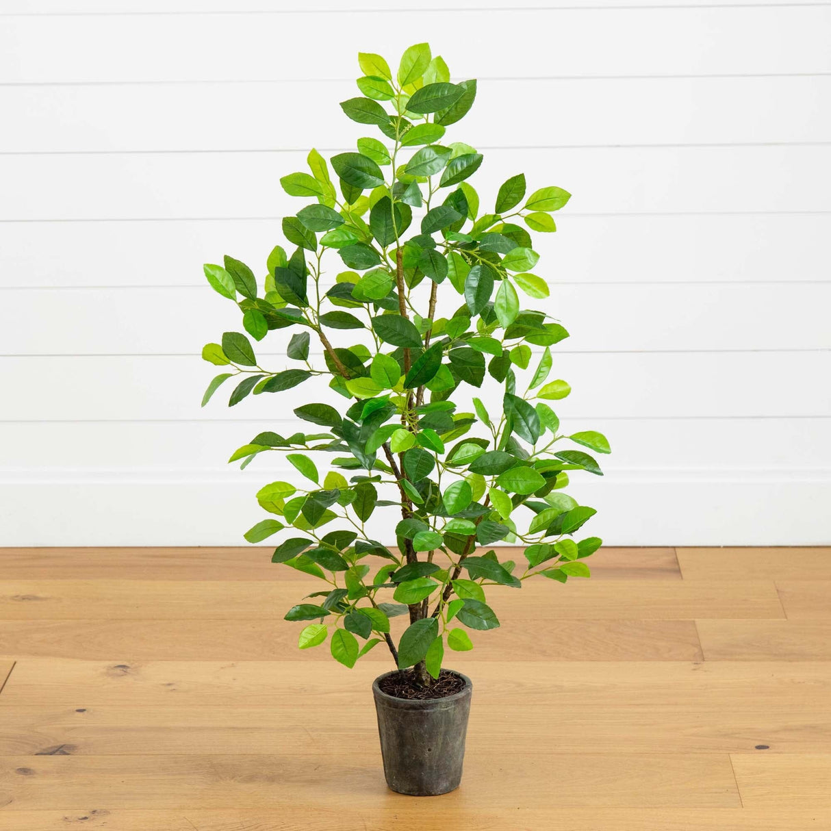 3’ Ficus Artificial Tree in Planter-Parc Decor